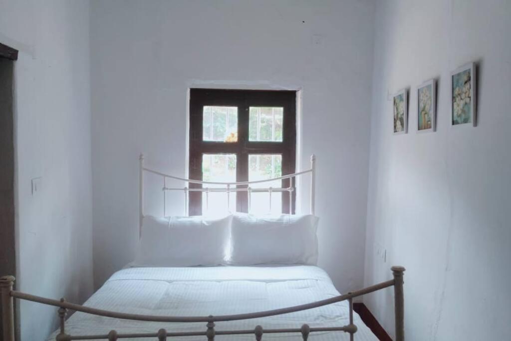 A Quaint Cottage With Rajah'S Seat View. Madikeri Exterior photo